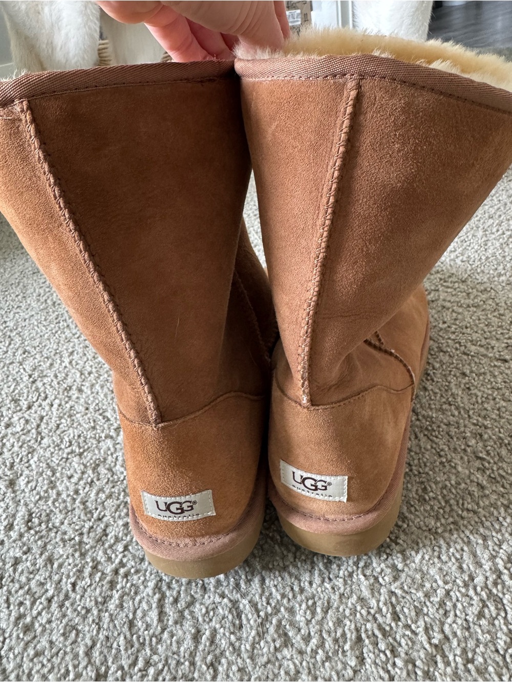 UGG Classic Boot in Chestnut